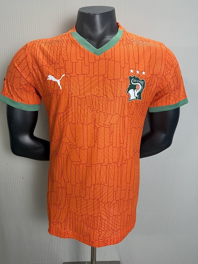 AAA Quality Cote d'Ivoire 2026 Home Soccer Jersey(Player)